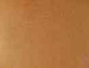 Cimarron tan waterproof upholstery fabric swatch