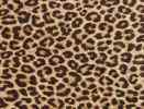 Leopard Chenile Fabric